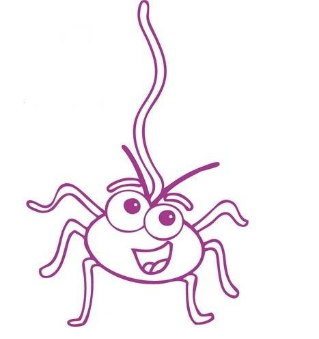 TELARAÑA