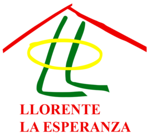 imagen 13