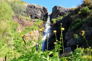 Imagen parque natural
