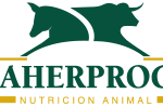 Logo de Gaherproga